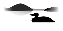 Johnson's Moundview